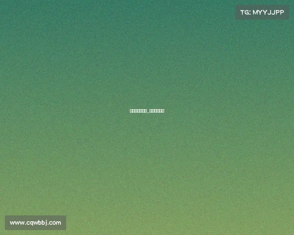 小篮球系类赛事_小型篮球比赛